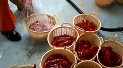 2. Recogida y lavado