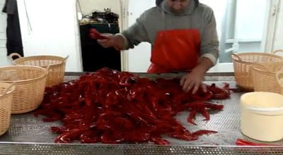 4. Selección de calidad